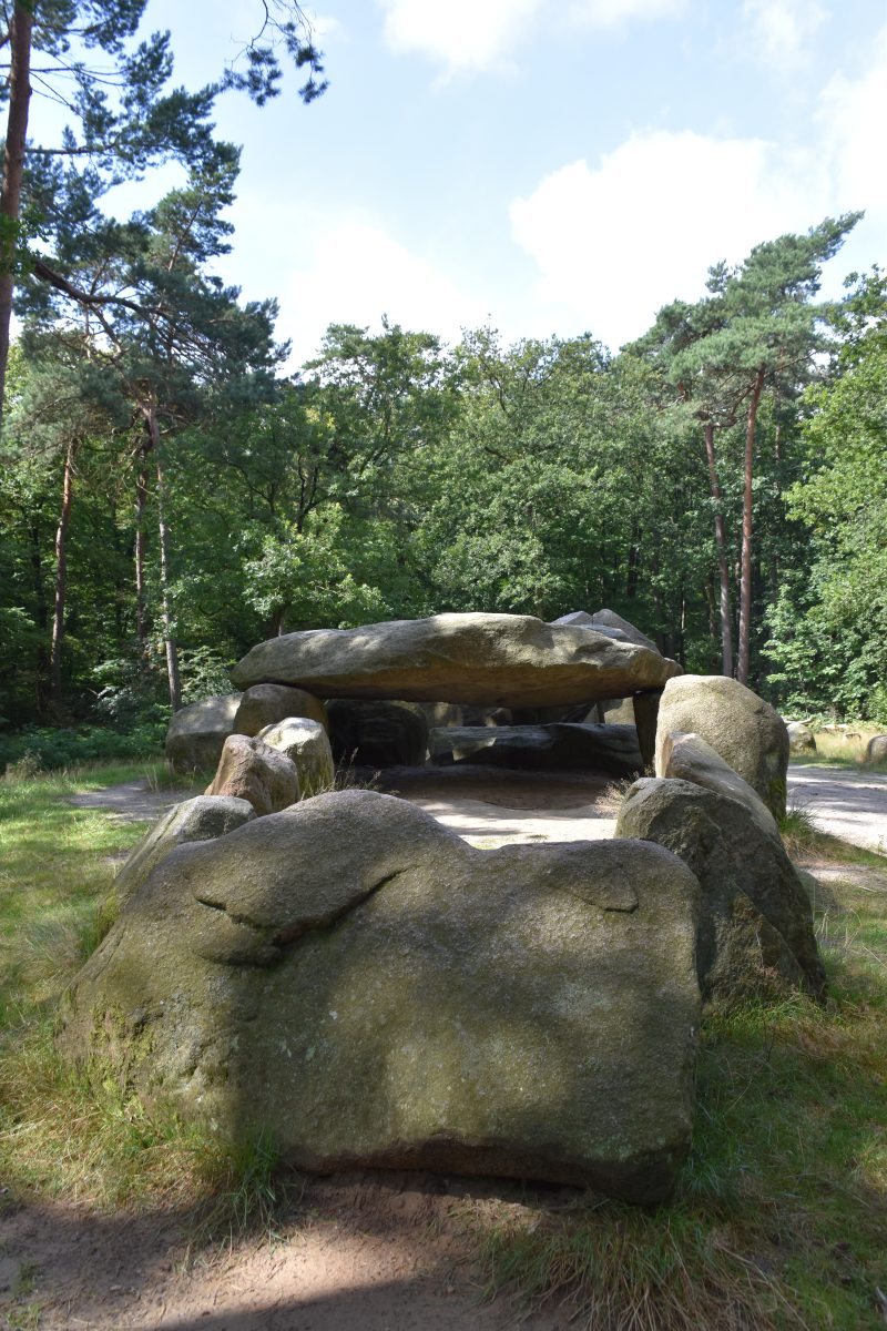 Hunebed D45, Hunebedden